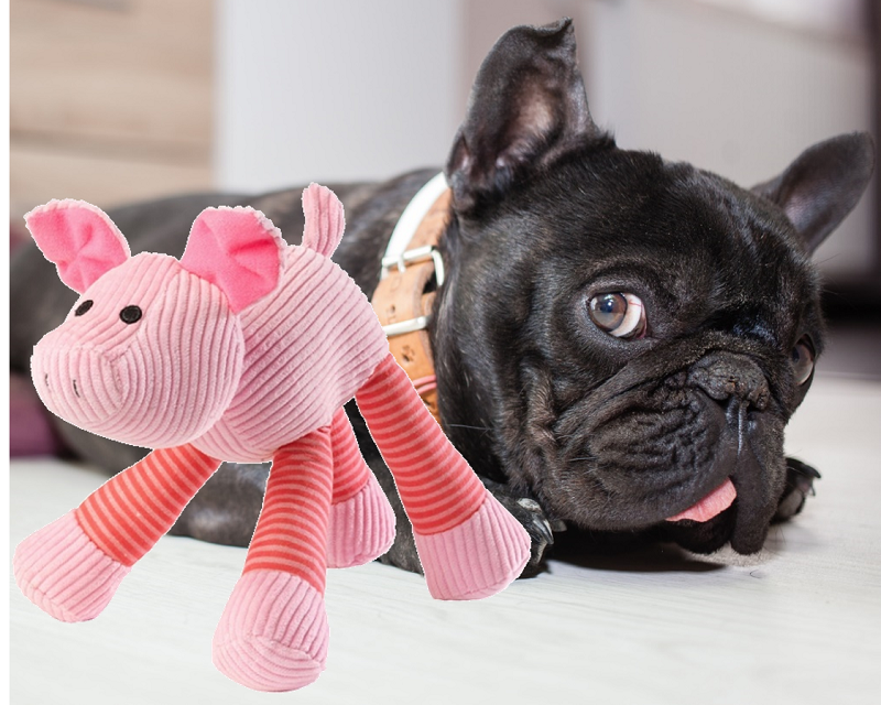 Jouets pour chien