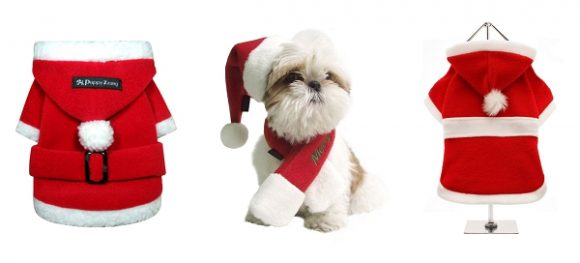 Déguisements de Noël pour chien