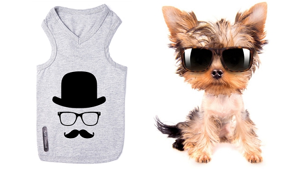 T-shirt pour chien So British