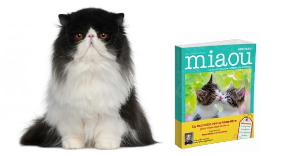 Des jouets pour chat Oh ! Pacha présentés dans la revue Miaou