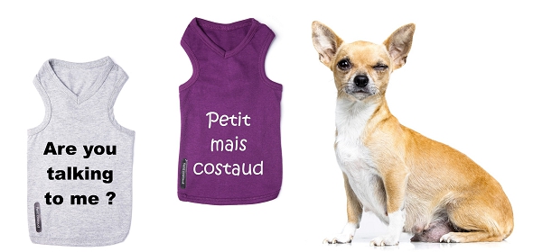 Nouveaux t-shirts pour chien Oh ! Pacha