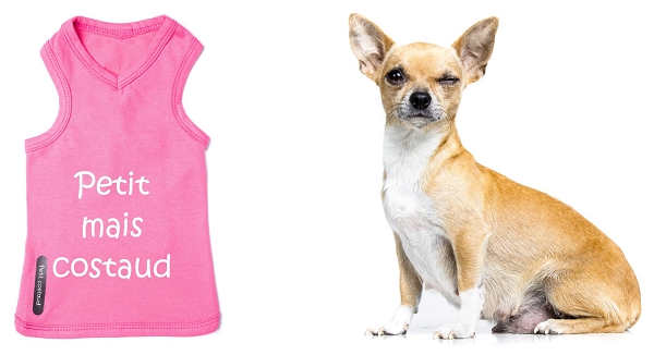 T-shirts pour chien