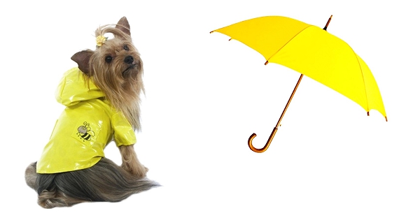 Imperméables pour chien