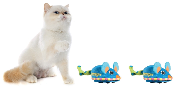 Jouets pour chat