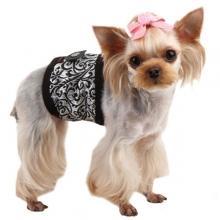 Culotte et bandeau anti-pipi pour chien