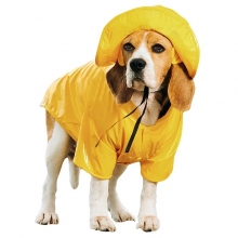 Imperméable pour chien