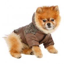 Manteau pour chien et doudoune