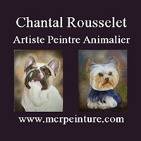 Chantal Rousselet Artiste peintre animalier