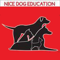 Nice Dog Éducation