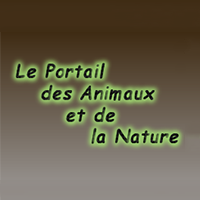 Annuaire-animaux.net