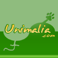 Unimalia.com