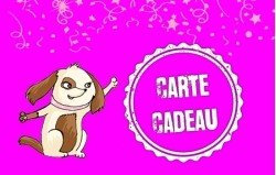 
			                        			Carte Cadeau 1