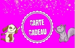 
			                        			Carte Cadeau 3