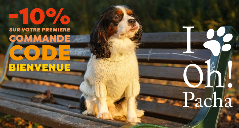 Sweat pour chien et pull - Oh ! Pacha