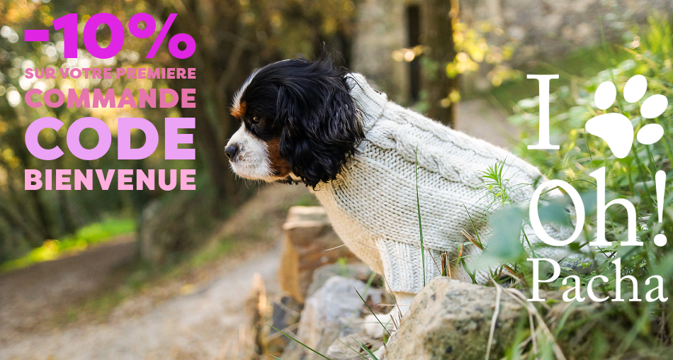 Sweat pour chien et pull - Oh ! Pacha