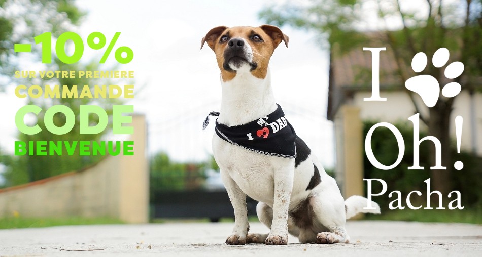 Bandana pour chien I love my Daddy - Oh ! Pacha