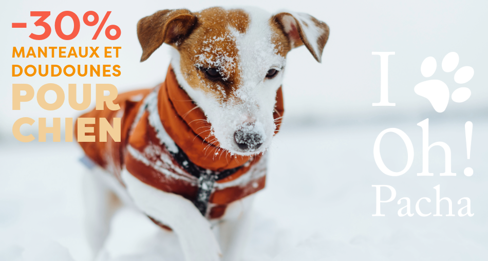 Manteau pour chien et doudoune - Oh ! Pacha