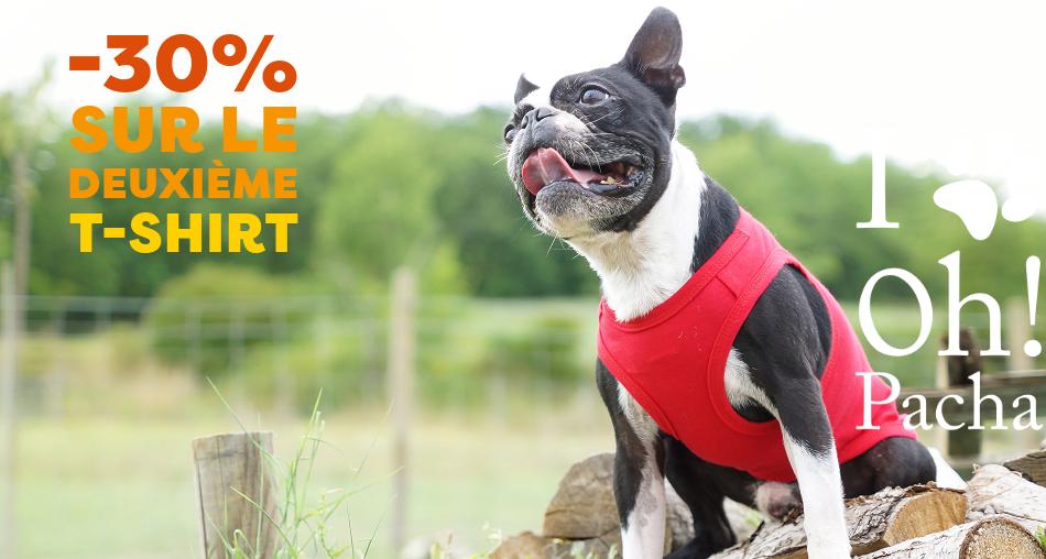 T-shirt pour chien - Oh ! Pacha