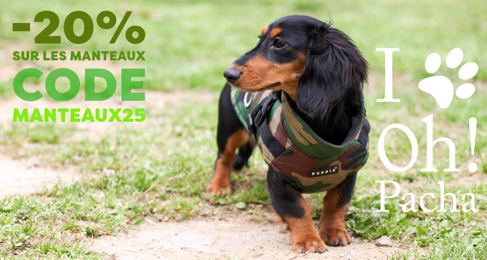 Manteau pour chien et doudoune - Oh ! Pacha
