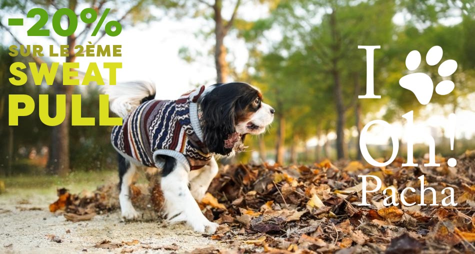 Sweat pour chien et pull - Oh ! Pacha