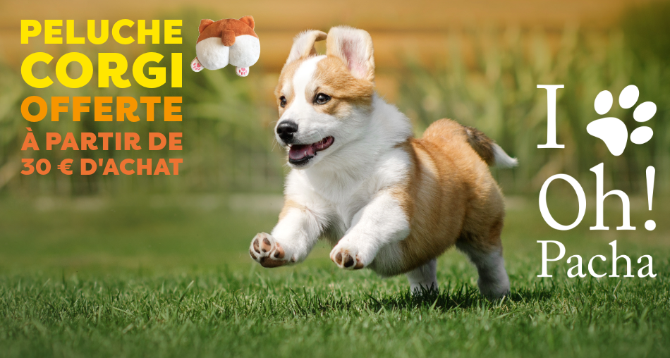 Peluche pour chien Corgi - Oh ! Pacha