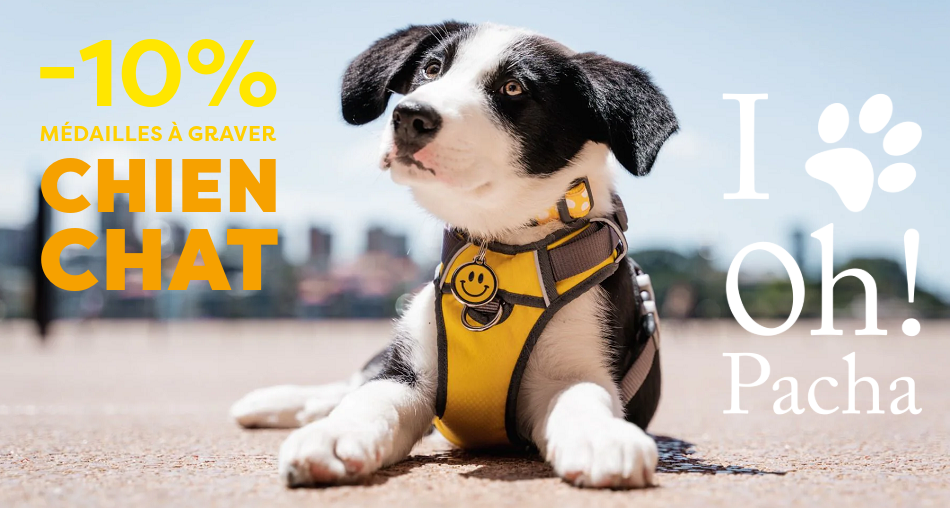 Pendentif pour chien - Oh ! Pacha