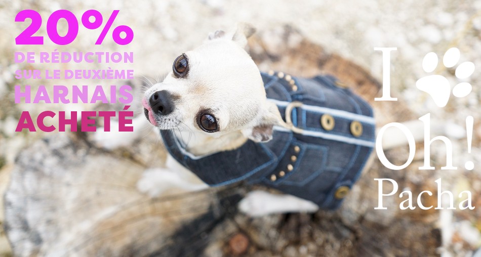 Harnais pour chien - Oh ! Pacha