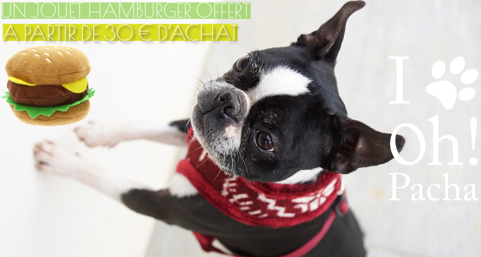 Jouet pour chien Hamburger - Oh ! Pacha