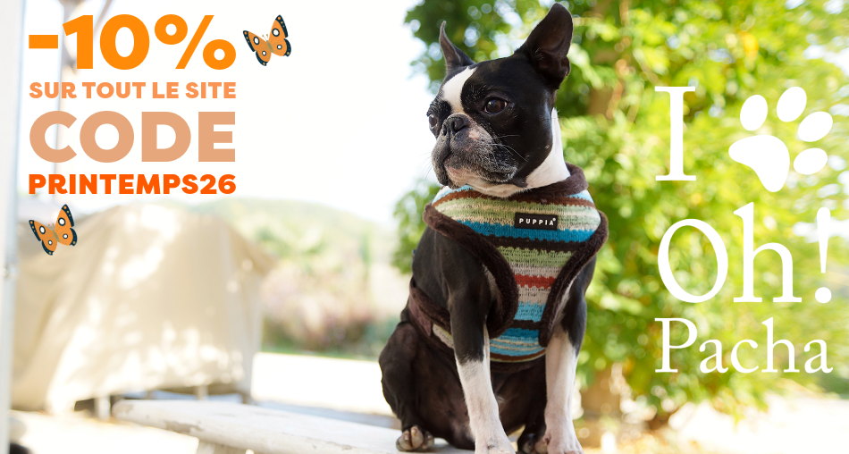 Harnais pour chien - Oh ! Pacha