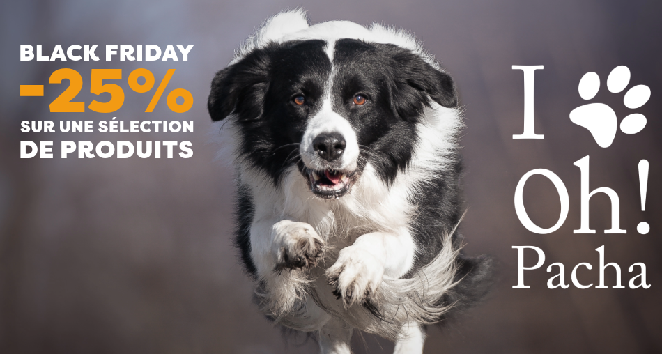 Promotion Black Friday - Oh ! Pacha