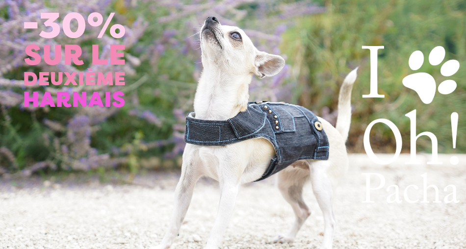 Harnais pour chien - Oh ! Pacha