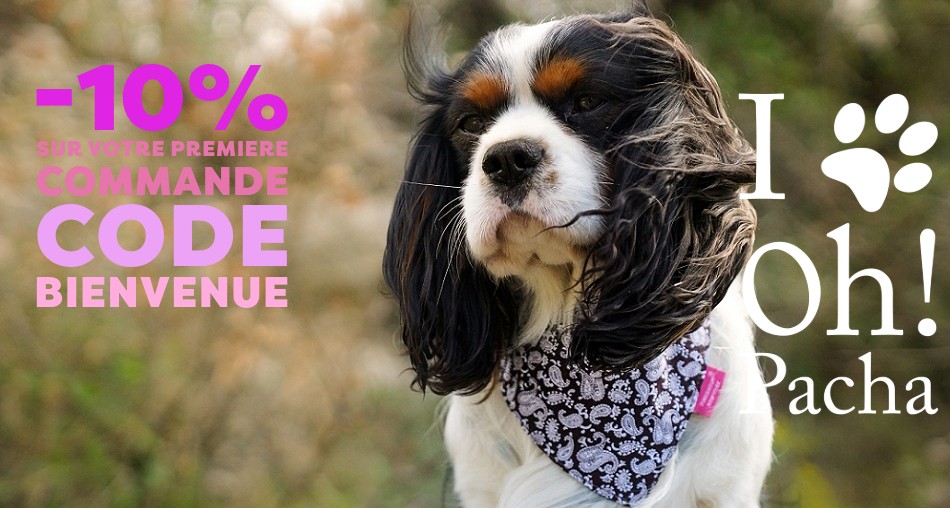 Bandana pour chien Carlotta - Oh ! Pacha
