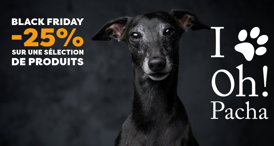 Promotion Black Friday - Oh ! Pacha