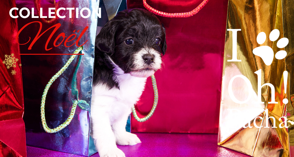 Collection Noël pour chien et chat - Oh ! Pacha