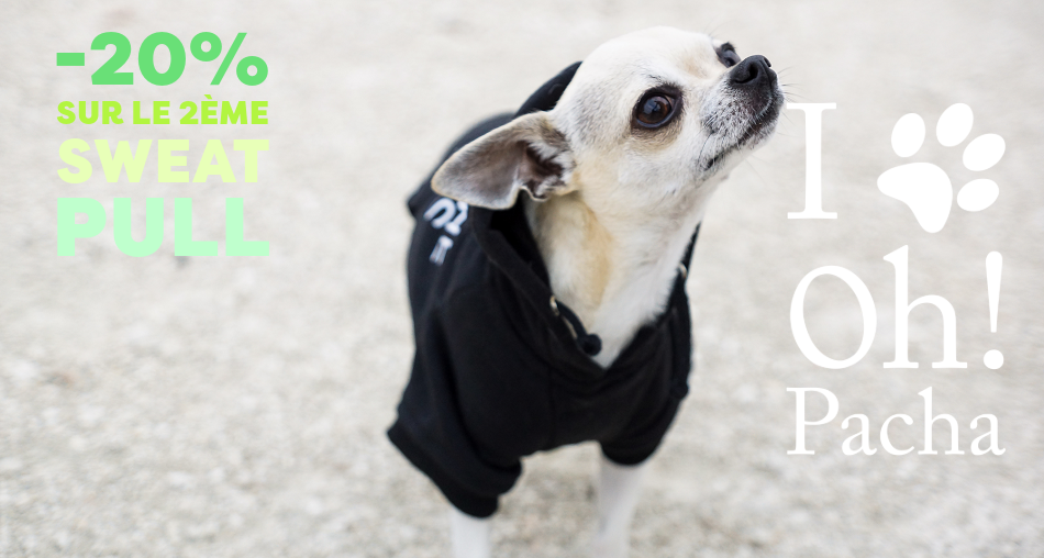 Sweat pour chien et pull - Oh ! Pacha