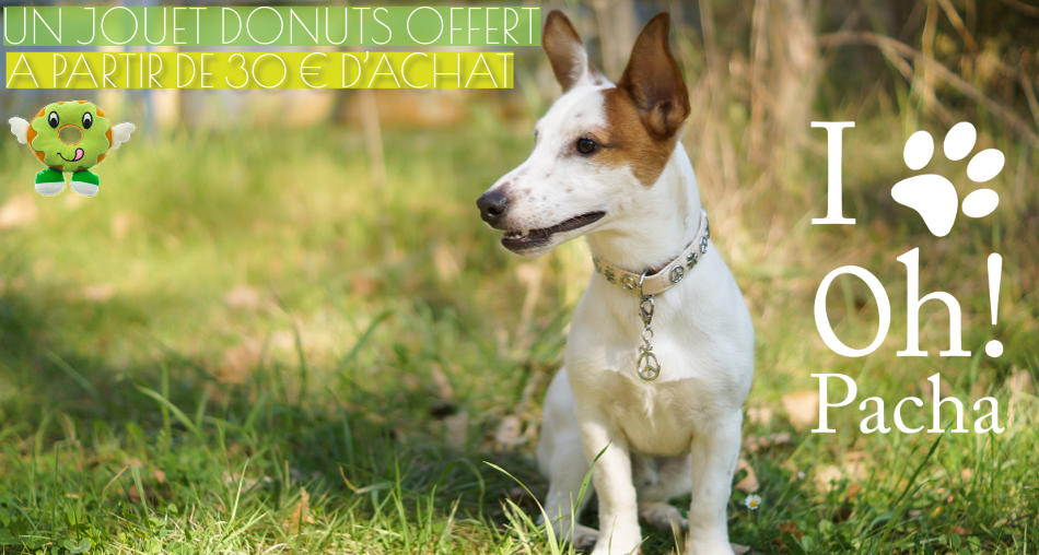 Jouet pour chien donuts - Oh ! Pacha