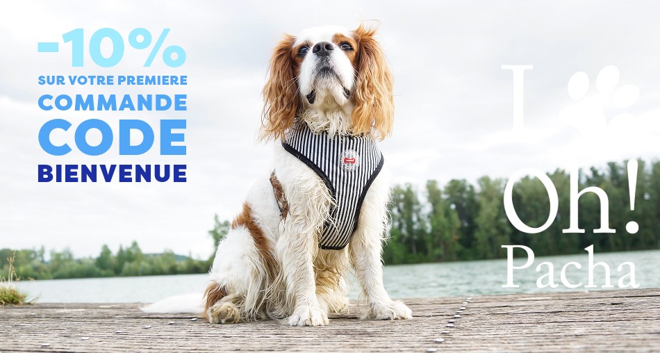 Harnais pour chien - Oh ! Pacha