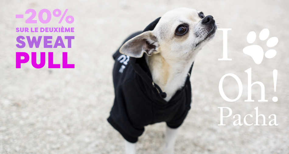 Sweat pour chien et pull - Oh ! Pacha