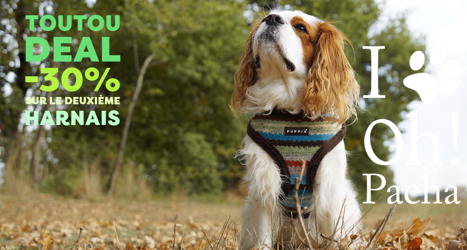 Harnais pour chien - Oh ! Pacha
