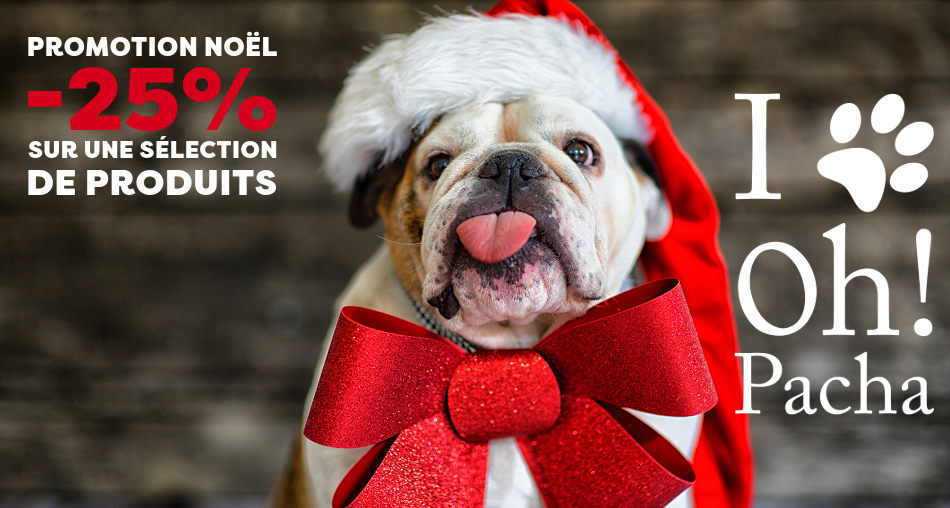 Promotion Noël - Oh ! Pacha