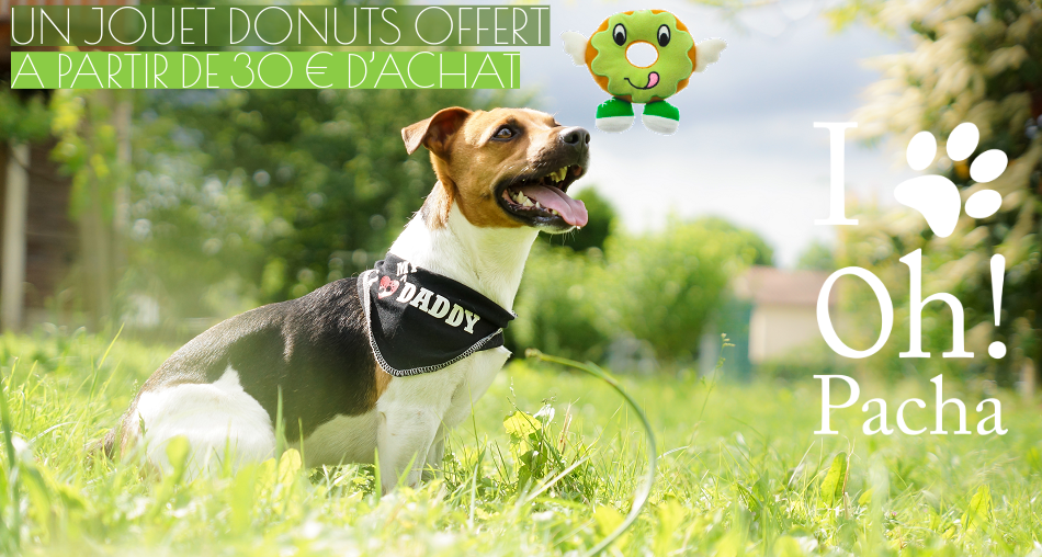 Jouet pour chien - Oh ! Pacha