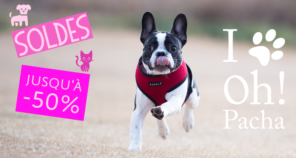 Harnais pour chien rouge Puppia - Oh ! Pacha