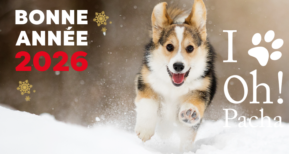 Bonne Année - Oh ! Pacha