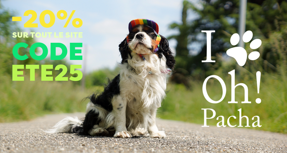 Casquette pour chien Jamaïque - Oh ! Pacha