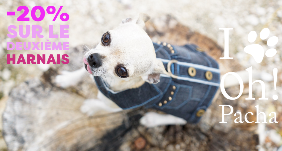 Harnais pour chien - Oh ! Pacha