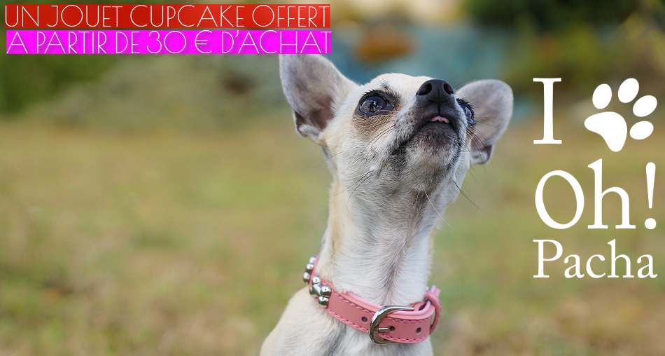 Peluche pour chien cupcake - Oh ! Pacha