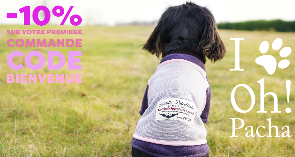 Sweat pour chien et pull - Oh ! Pacha