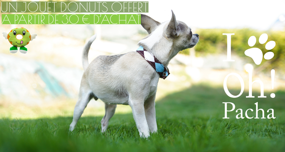 Jouet pour chien donuts - Oh ! Pacha
