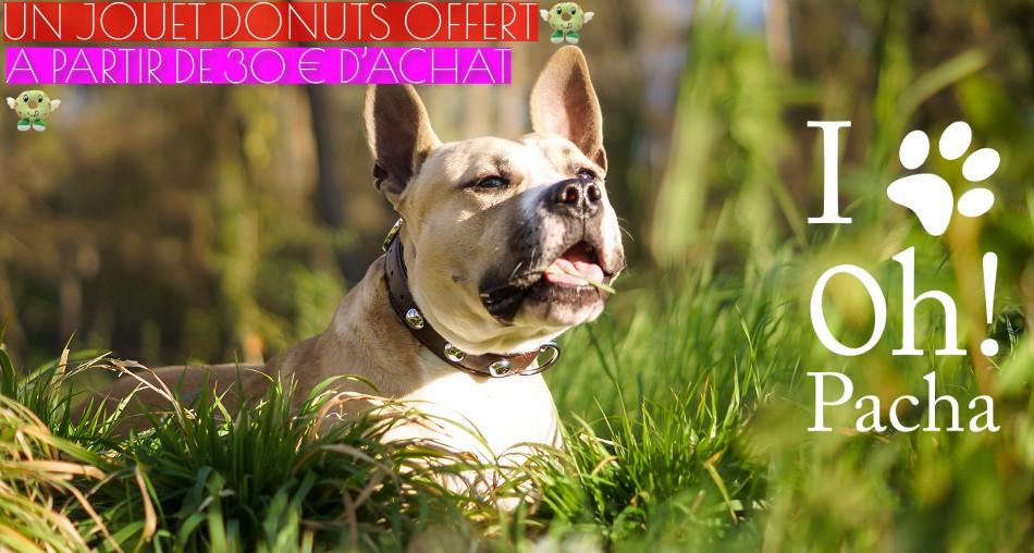 Jouet pour chien donuts - Oh ! Pacha