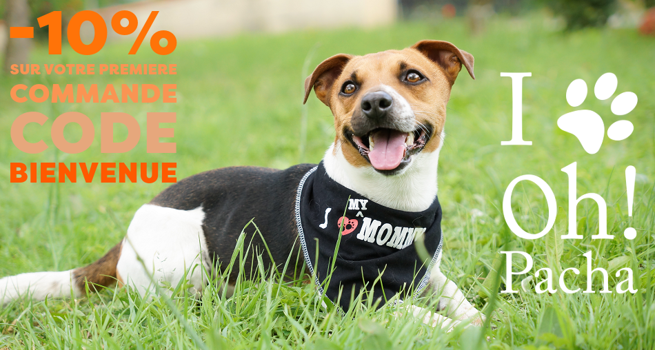 Bandana pour chien I love my Mommy - Oh ! Pacha
